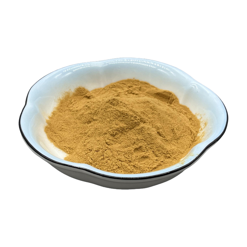 Star Anise Extract - Manufacturer - Premium Natural High-Quality Pure Powder