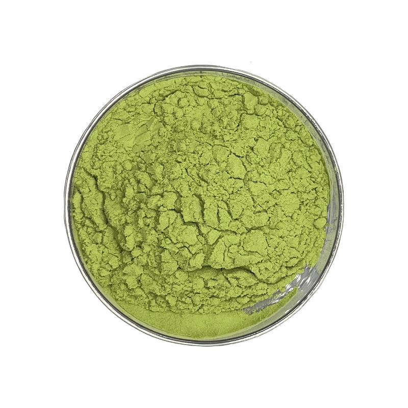 Kale Powder - Manufacturer - Organic Vegetable Extract Healthy Natural Pure