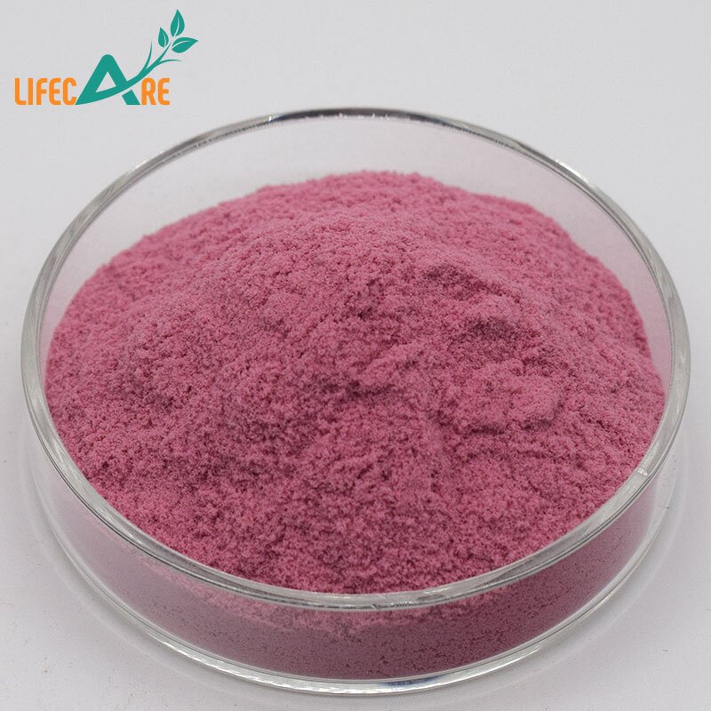 Maqui Berry - Manufacturer - Wholesale Pure Natural Water Soluble Powder