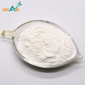 Liposomal Vitamin C - Manufacturer - 80% Food Grade Enhanced Absorption Powder
