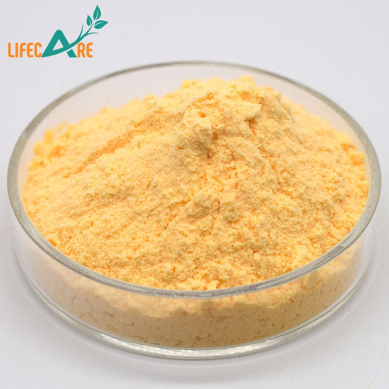 Cantaloupe Powder - Manufacturer - High Quality Food Grade Hami Melon Powder