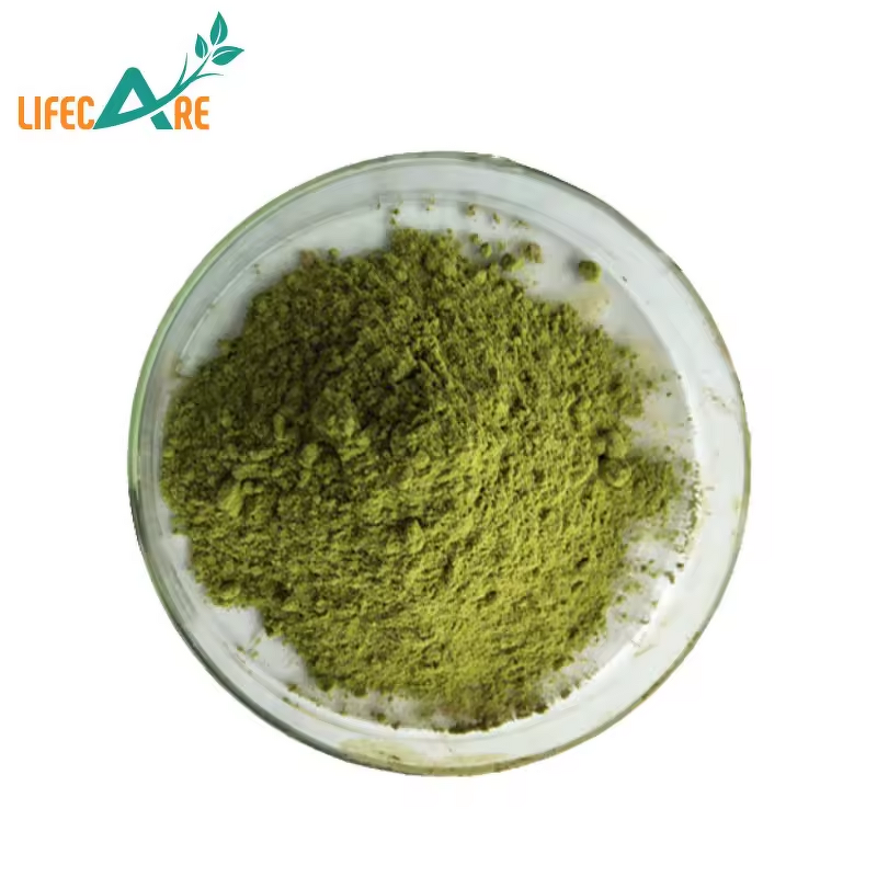 Celery Powder - Manufacturer - Natural Vegetable Extract Food Grade Juice
