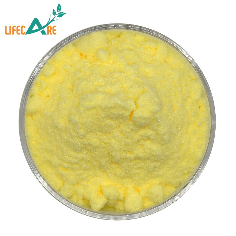 Folic Acid Powder - Manufacturer - Wholesale Vitamin B9 Food Grade Bulk Supplement