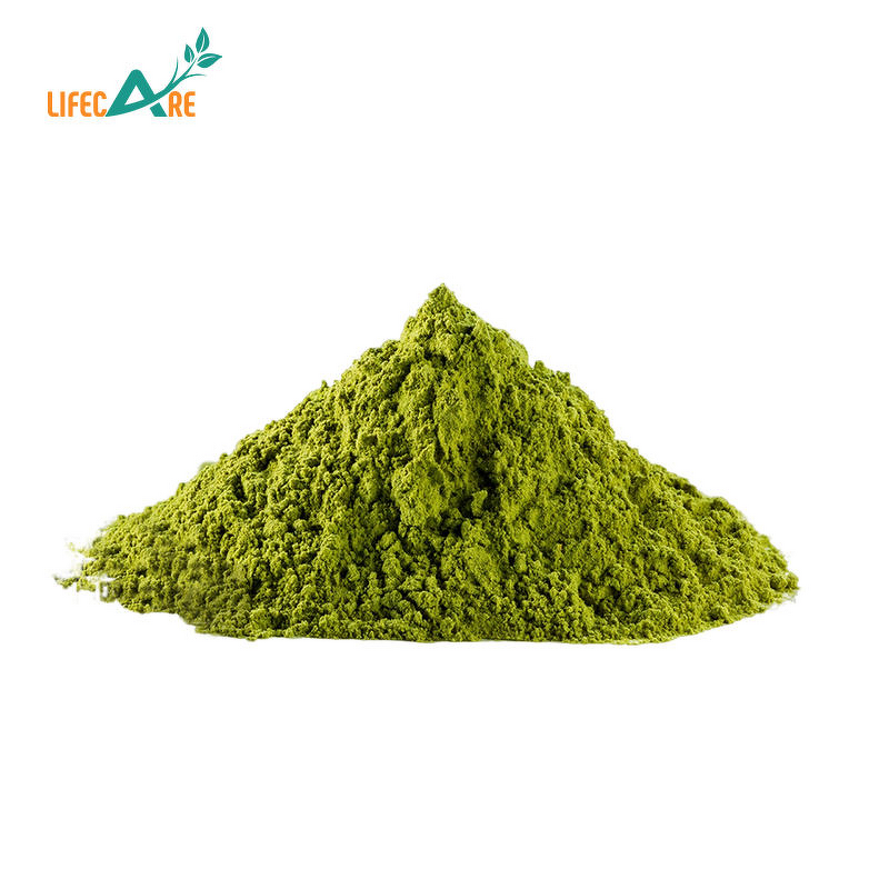 Moringa Powder - Manufacturer - Wholesale Food Grade Pure Leaf Extract Natural