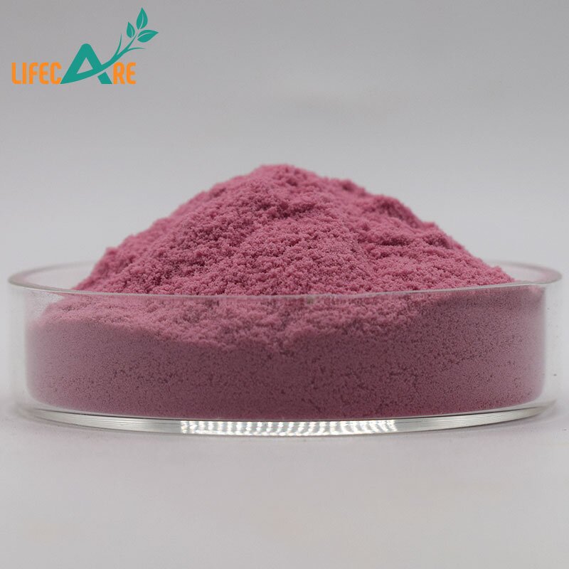 Elderberry Powder - Manufacturer - Natural Black Fruit Extract Food Grade Bulk