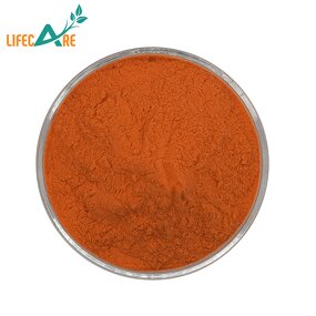 Vitamin B2 Powder - Manufacturer - Food Grade Pure Riboflavin Bulk Wholesale