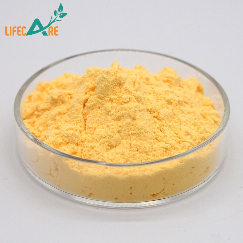 Cantaloupe Powder - Manufacturer - High Quality Food Grade Hami Melon Powder