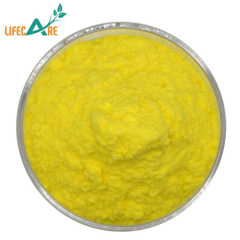 Folic Acid Powder - Manufacturer - High Quality Vitamin B9 Raw Material Bulk