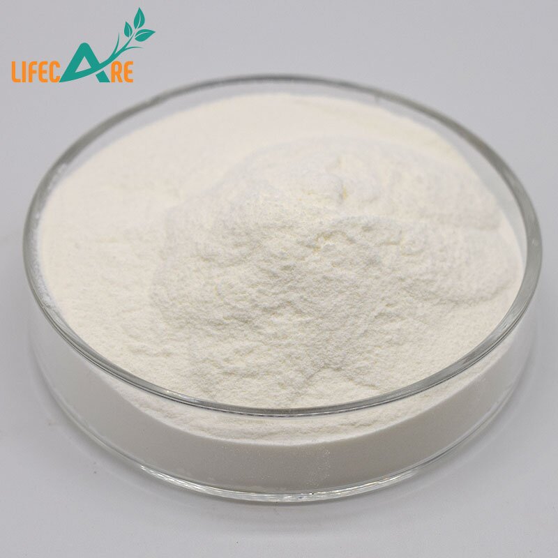 Papain Powder - Manufacturer - Pure Natural Papaya Extract Enzyme Food Grade