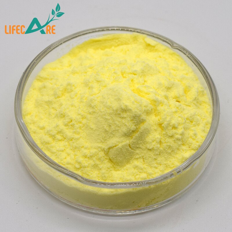 Bee Pollen Powder - Manufacturer - High Quality Natural Food Grade Honey