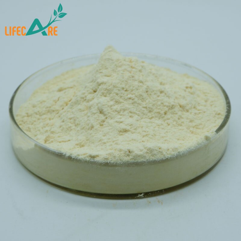 Avocado Powder - Manufacturer - Best Selling Pure Natural Water Soluble