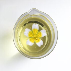 Meadowfoam Oil - Manufacturer - Wholesale Cosmetic Raw Materials Seed Oil