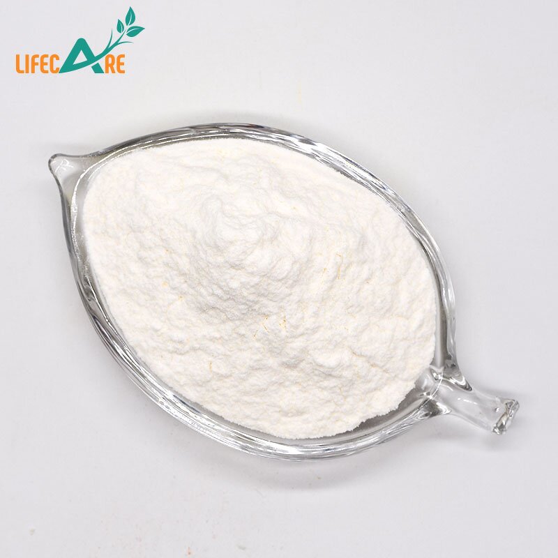 Streptococcus Thermophilus - Manufacturer - Food Grade Probiotic Digestive Health