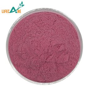 Maqui Berry - Manufacturer - Wholesale Pure Natural Water Soluble Powder