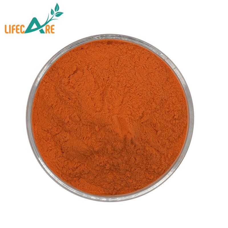 Vitamin B2 Powder - Manufacturer - Food Grade Pure Riboflavin Bulk Wholesale
