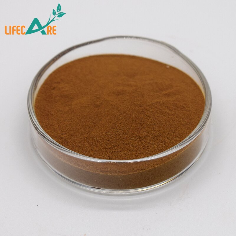 Hawthorn Powder - Manufacturer - Pure Natural Berry Extract Food Grade Bulk