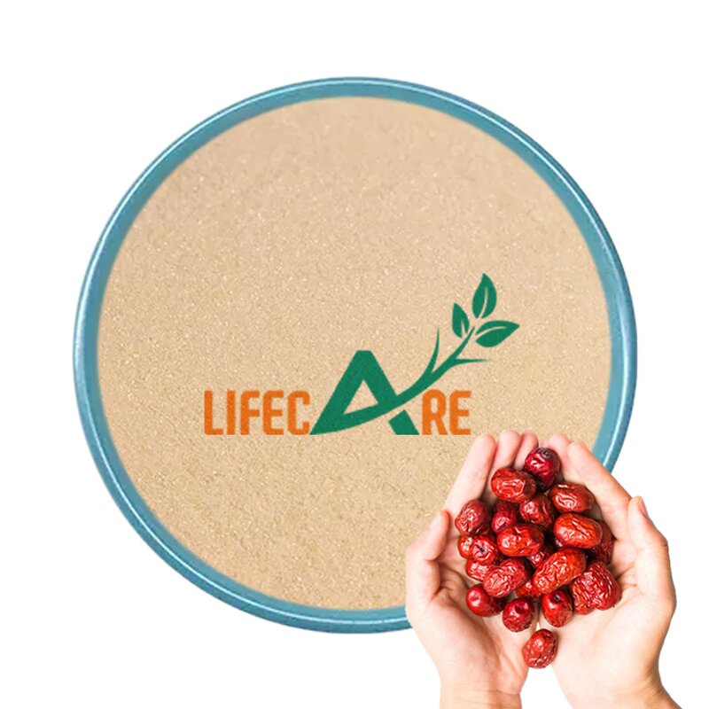 Jujube Powder - Manufacturer - Wholesale Bulk Natural Food Grade Red Date