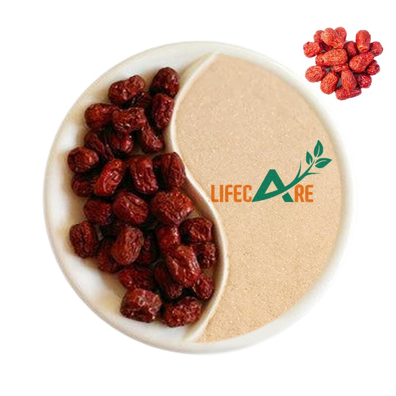 Jujube Powder - Manufacturer - Wholesale Bulk Natural Food Grade Red Date