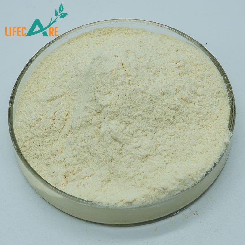 Jackfruit Powder - Manufacturer - High Quality Natural Food Grade Water Soluble