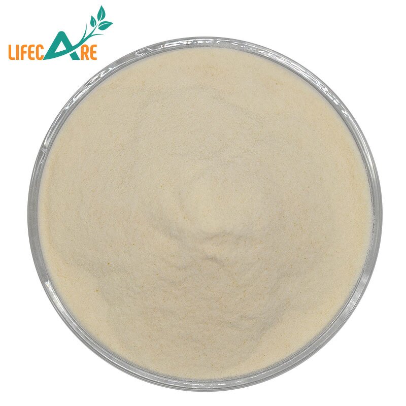 Durian Powder - Manufacturer - High Quality Food Grade Water Soluble Pure