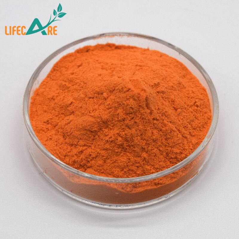 Carrot Powder - Manufacturer - High Quality Pure Natural Food Grade Juice