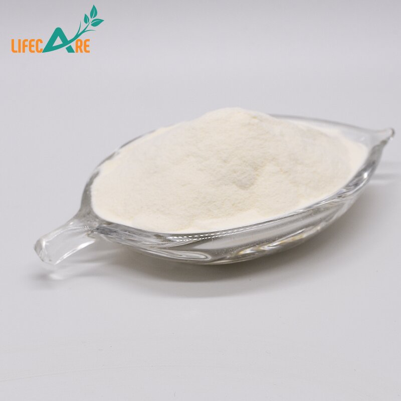 Xanthan Gum - Manufacturer - 200 Mesh 99% Food Grade Thickener Milk White