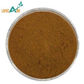 Hop Extract - Manufacturer - Hot Sale Natural Plant Herbal Powder Food Grade