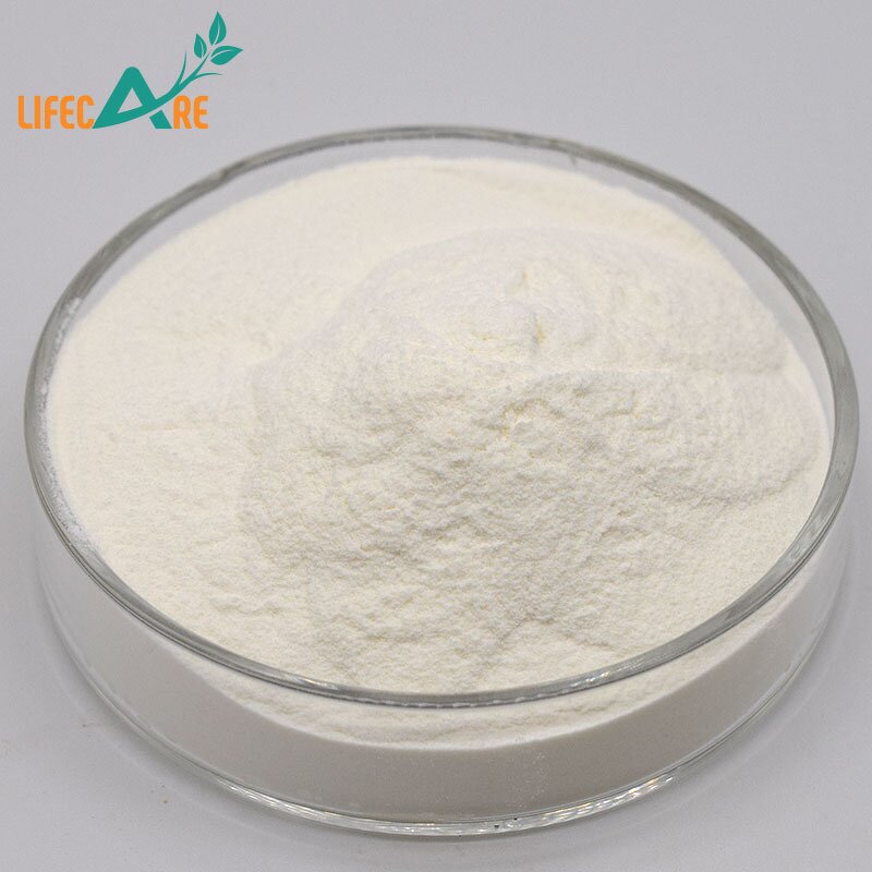 Carrageenan Powder - Manufacturer - 99% High Quality Food Grade Thickener