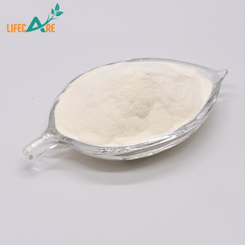 Xanthan Gum - Manufacturer - 200 Mesh 99% Food Grade Thickener Milk White