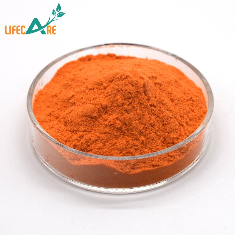 Carrot Powder - Manufacturer - High Quality Pure Natural Food Grade Juice