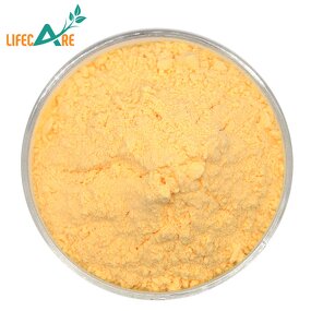 Cantaloupe Powder - Manufacturer - High Quality Food Grade Hami Melon Powder