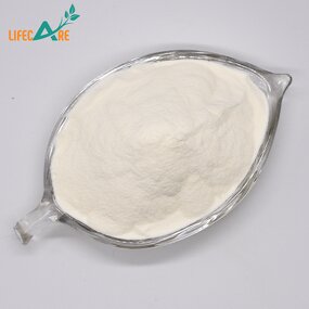 Xanthan Gum - Manufacturer - 200 Mesh 99% Food Grade Thickener Milk White