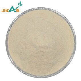 Bromelain Powder - Manufacturer - Natural Pineapple Extract Enzyme Food Grade