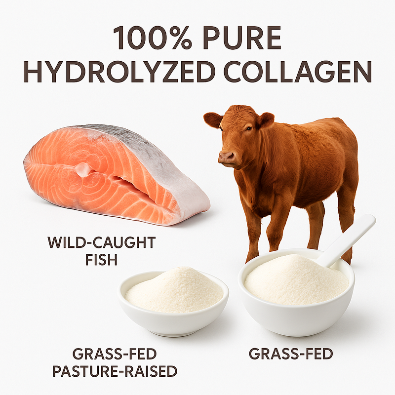 Multi Collagen Powder - Manufacturer - Types I II III V X Grass Fed Wild Fish