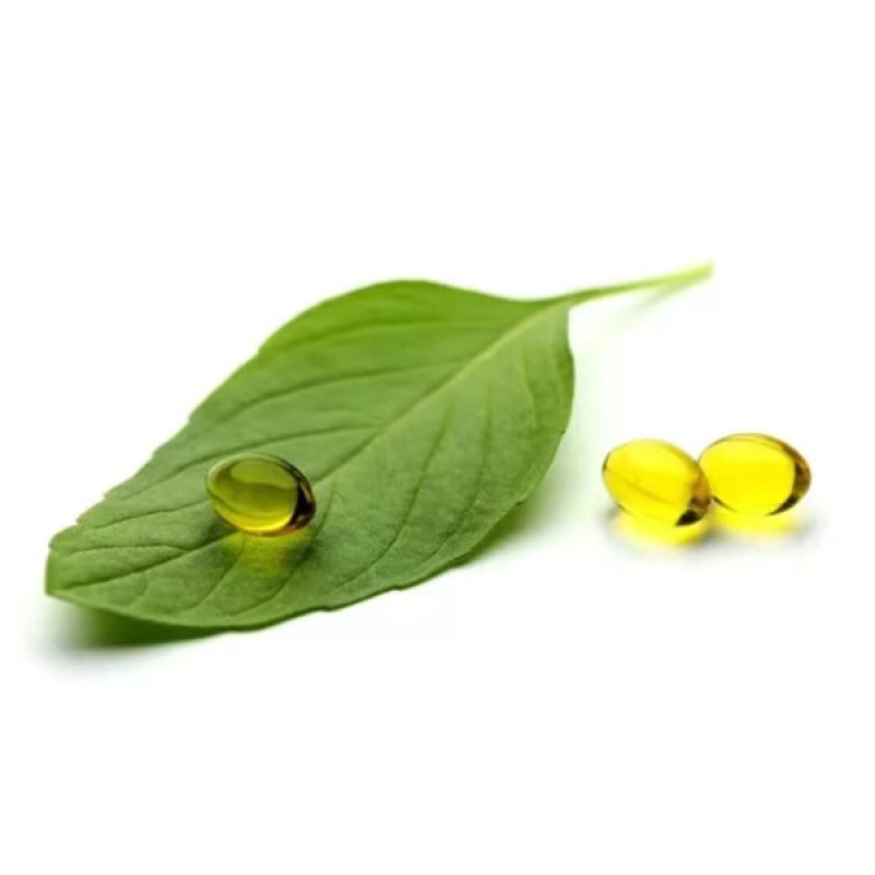 Natural Carvacrol Oregano Oil Supplier - 100% Pure Extract