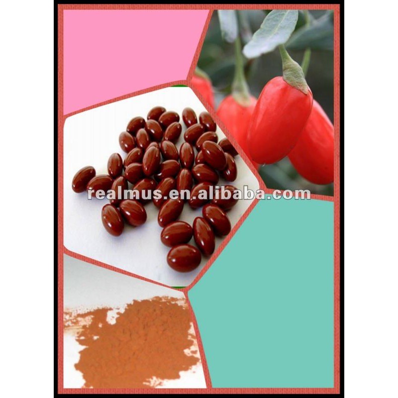 Premium Dried Goji Berry Supplier - Whole Fruit Export