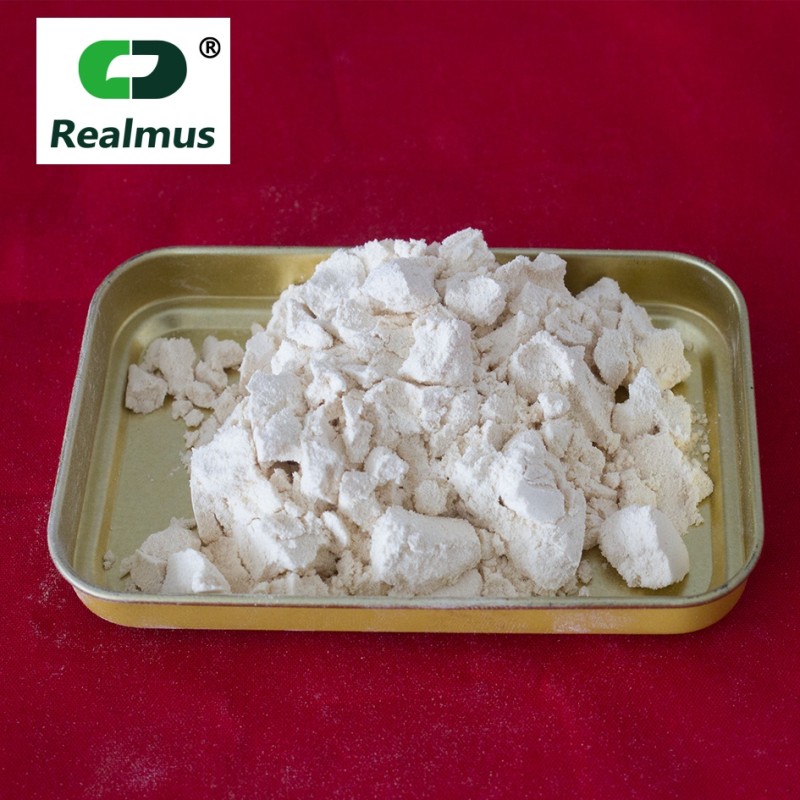 Instant Vegan Protein Powder Supplier - Halal Herbal Formula