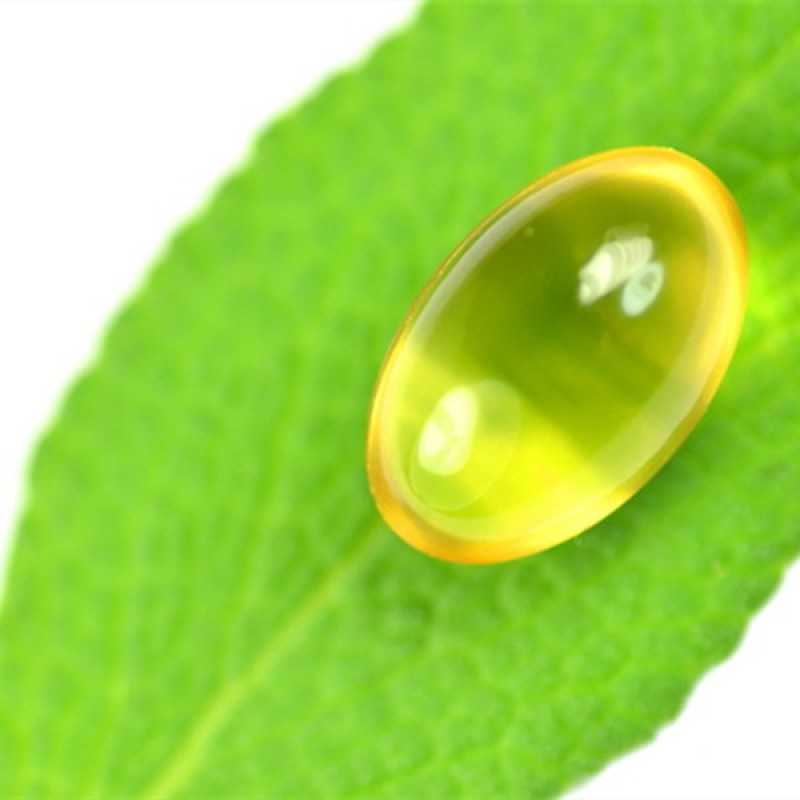 Pure Oregano Oil Carvacrol Capsule Factory - Wholesale Natural