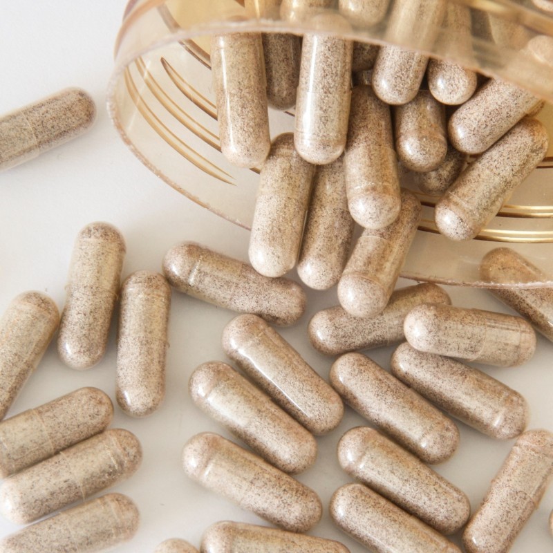 Lion's Mane Mushroom Capsule Manufacturer - Brain Immune Support