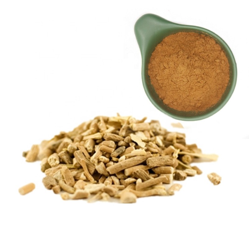 Turmeric Extract Powder Manufacturer - OEM Herbal Supplement