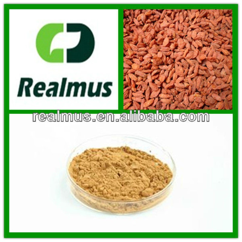 Premium Dried Goji Berry Supplier - Whole Fruit Export