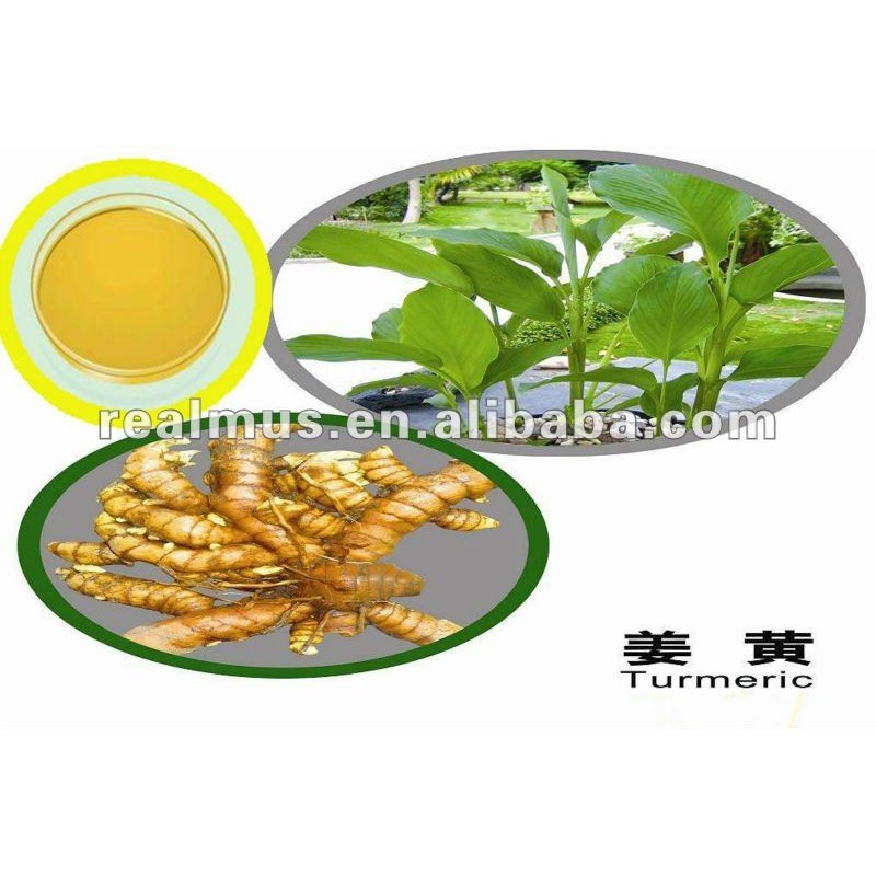 Turmeric Extract Powder Manufacturer - OEM Herbal Supplement