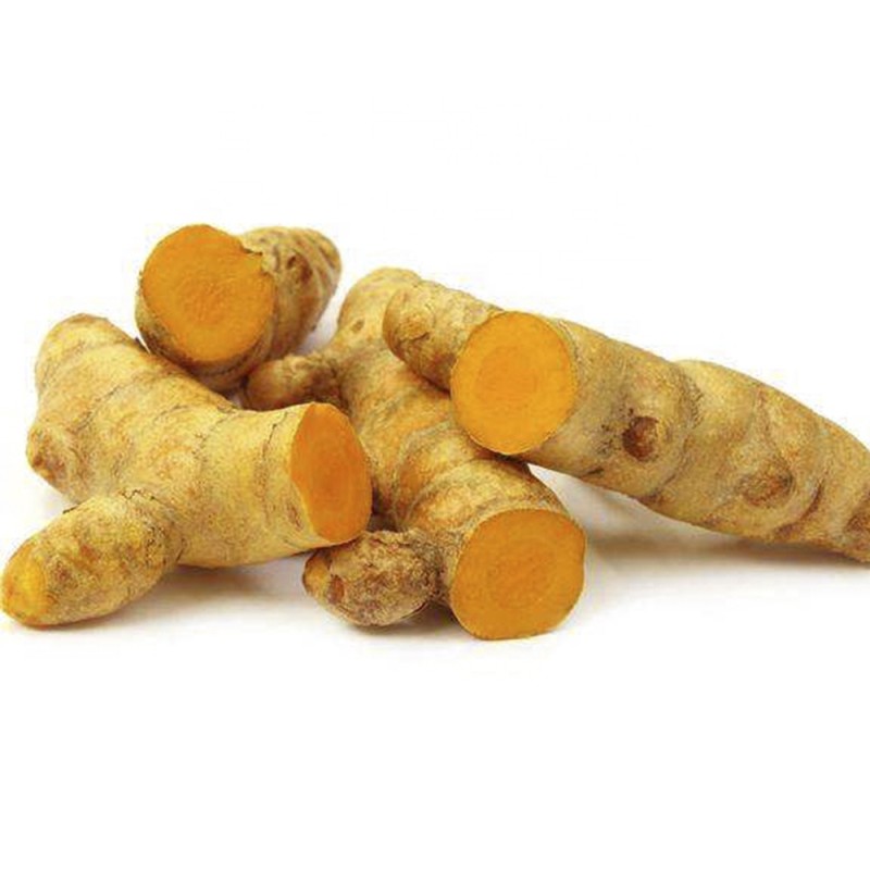 Turmeric Extract Powder Manufacturer - OEM Herbal Supplement