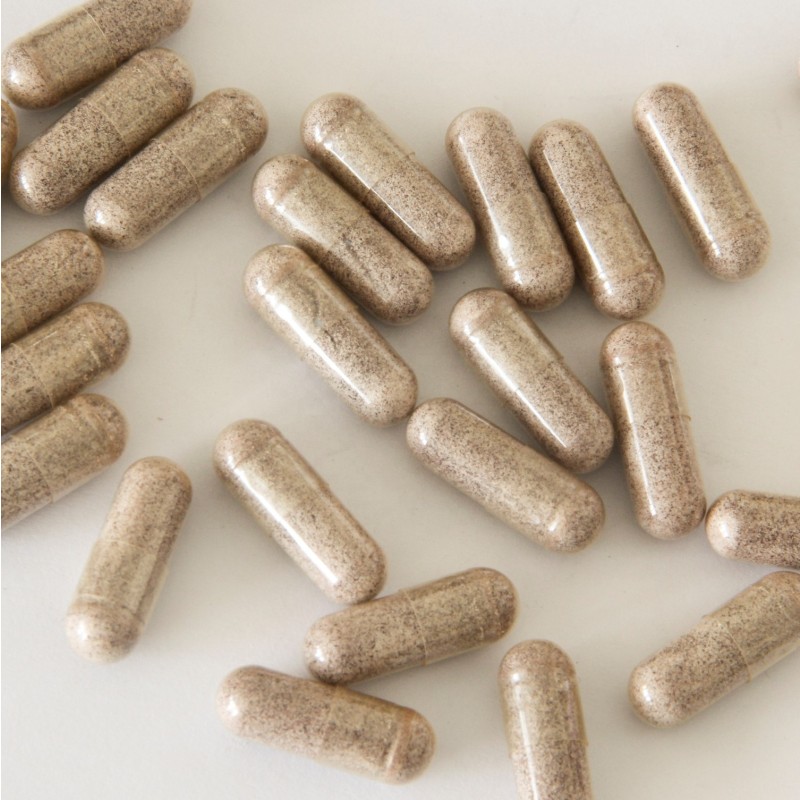 Organic Reishi Mushroom Powder Supplier - Lingzhi Extract