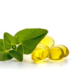 Pure Oregano Oil Carvacrol Capsule Factory - Wholesale Natural