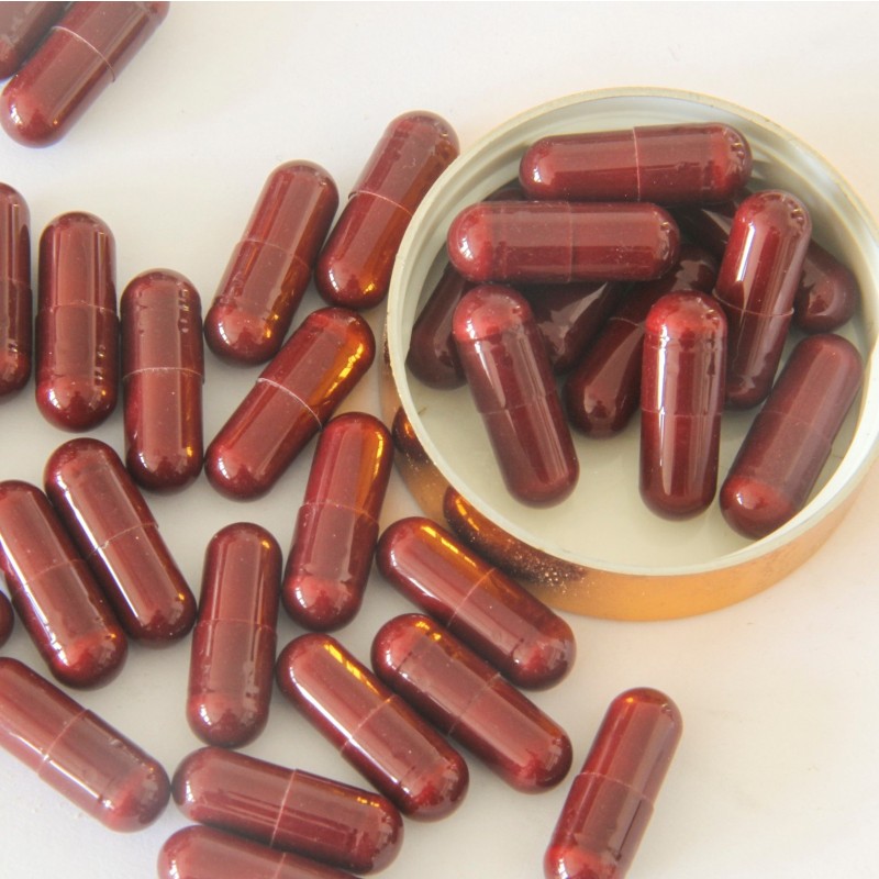 Organic Reishi Mushroom Powder Supplier - Lingzhi Extract