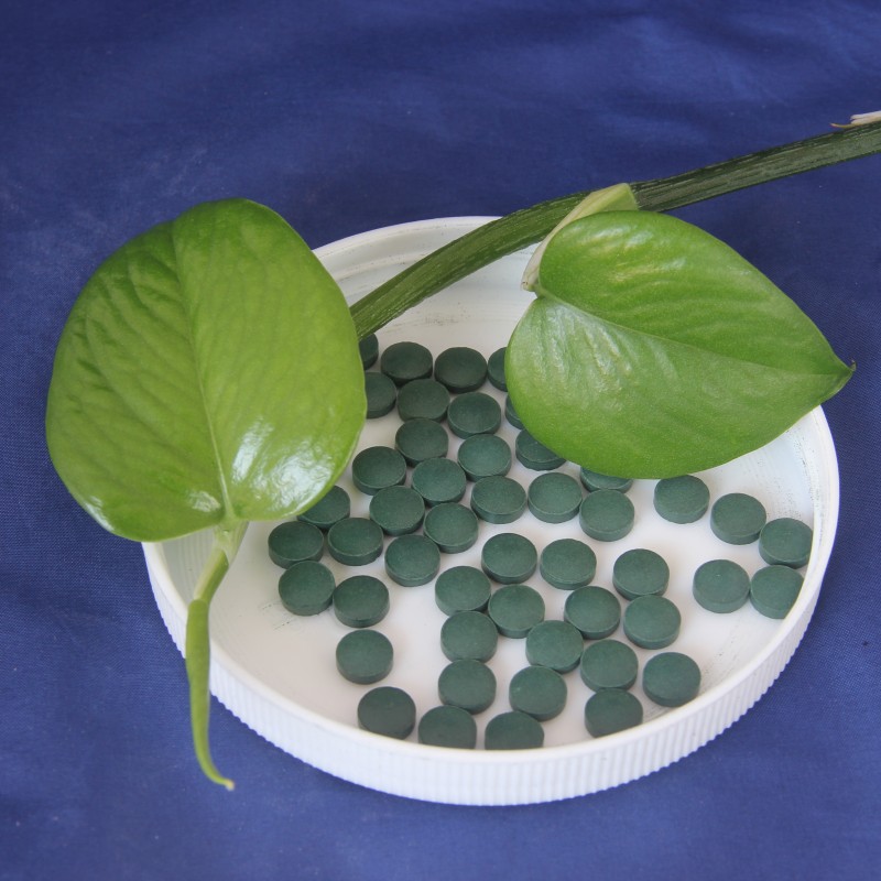 Vitamin C Health Tablet Manufacturer - GMP Dietary Supplement