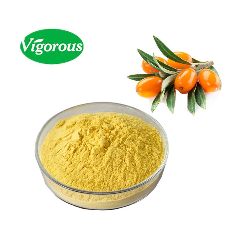 Sea Buckthorn Powder - Manufacturer - Organic Hippophae Rhamnoides for Food Drinks