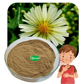 Lactuca Indica Extract - Manufacturer - 10:1 Pure Natural Free Sample Factory Supply