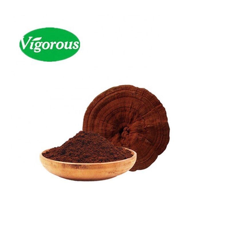 Reishi Spore Powder - Manufacturer - 98% Ganoderma Lucidum Shell Broken Pure
